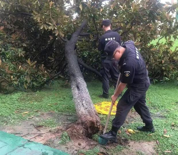 C:/Users/BA/Desktop/風(fēng)雨過后南京保安迅速行動，恢復(fù)安“寧”面貌/10.jpg10